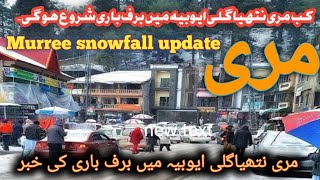 Today murree nathiagali ayubiaMurree ayubia weather news snowfall murree 2023 [upl. by Cristobal]