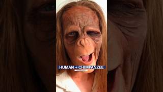 Humanzee Experiment  The Scientist Who Tried To Create A HumanChimpanzee Hybrid  But U Know [upl. by Henderson]