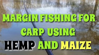 MARGIN FLOAT FISHING FOR CARP USING MAIZE AND HEMP [upl. by Ettinger545]