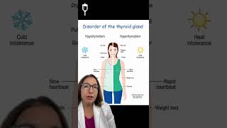 Thyroid Disorders Medical Surgical SHORT  LevelUpRN [upl. by Annnora]