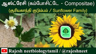 Compositae  Asteraceae  Newly Added plant Families  Rajesh NEET Academy RNA rajeshneet  RNBT [upl. by Lyns585]