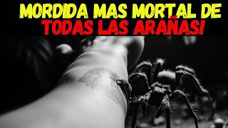 5 Minutos para SOBREVIVIR una Mordedura de Tarántula ¡Es Posible [upl. by Stephania207]