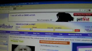 Petfindercom Review [upl. by Giess256]