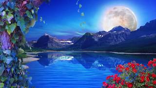 Nature Background Loop  Free Background  HD  60 fps [upl. by Aivatco]