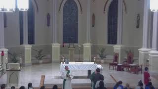 November 5 2024 at 800 am Catholic Mass from St Philip in Vacherie LA [upl. by Maillij]