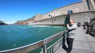 Catching MONSTER LAKE TROUT and STEELHEAD from the SHORE  Niagara River Fishing [upl. by Tayler]