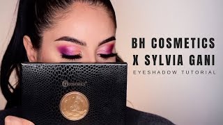 BH X SYLVIA GANI PALETTE Tutorial [upl. by Allveta406]