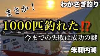 【わかさぎ釣り】朱鞠内湖 第3弾 目標10束‼️狙ったワカサギは釣り上げる 釣り方試行錯誤し改善 今までの失敗は成功の鍵 [upl. by Tada995]