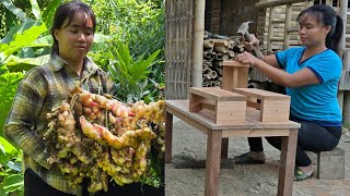 Harvesting ginger to sell at the market  making wooden tables and chairs for the kitchen [upl. by Oirobil]