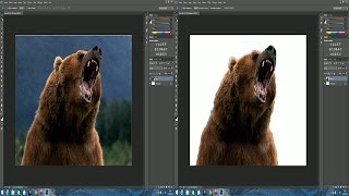 TUTO Comment détourer une image sur Photoshop [upl. by Bess]