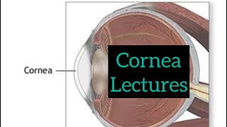 Cornea lectures part 1 Eye lectures  Jatoi  Opthalmology lectures eyelectures cornea eye [upl. by Tempest359]