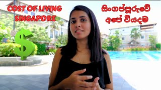 Our Living Cost in Singapore  සිංහල vlog [upl. by Ahsekar708]