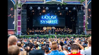 Symphony of Unity  Tomorrowland Belgium 2019  W2 [upl. by Lovato]