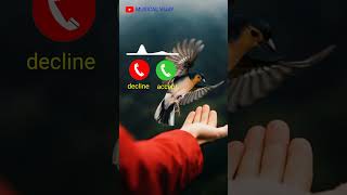 New call ringtone 2024  hindi ringtone 2024 trending Ringtone love ringtone song mobile ringtone [upl. by Jezebel106]