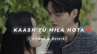 KAASH TU MILA HOTA 🥺💔  SLOWED amp REVERB  BROKEN HEARTS 🖤  SAD SONG😥🎶 BS EK BAAR AAJA 😔❤‍🩹 [upl. by Sender]