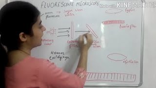 fluorescence microscope with working and principle [upl. by Haymo]