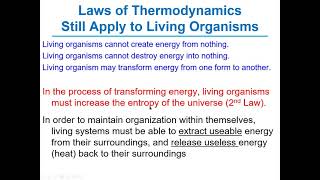 Chapter13 Lecture Video Bioenergetics and Metabolism Pathaks [upl. by Brad10]