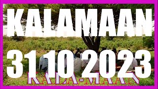 KALAMAAN 31 OCTOBER 2023 [upl. by Alta189]