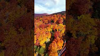 感動！蔵王の紅葉 絶景🍁「Autumn leaves in Yamagata Zao」Zao Ropeway 2023年秋 [upl. by Cochard]