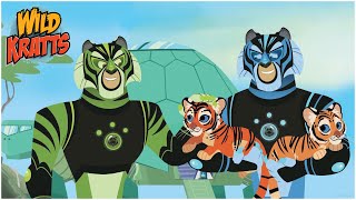 Wild Cats Wild Kratts  Wild Kratts Read Along  Wild Kratts Books [upl. by Agathe16]