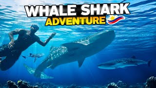 I Swam with WHALE SHARKS in the Philippines GoPro footage [upl. by Whyte]