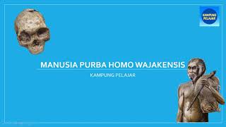 Sejarah  Manusia Purba Homo Wajakensis [upl. by Manon]