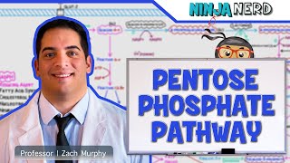 Metabolism  Pentose Phosphate Pathway [upl. by Imhsar]