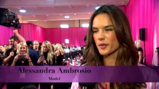 VSFS 2015 Show Highlights [upl. by Ayalahs]