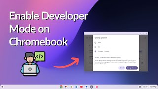 How to Enable Developer Mode on Chromebook [upl. by Gowon]