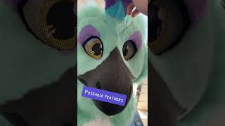 Taupo the raptor  FURSUIT FEATURE fursuit furry [upl. by Holcman]