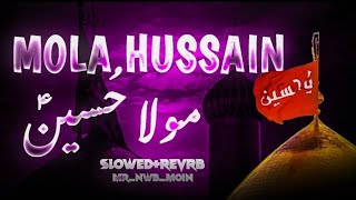 Mola Hussain Slowed Reverb Manqabat Syed Farhan Ali Wari Mola Hussain [upl. by Yruam]