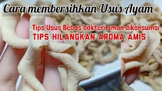 TIPS Membersihkan Usus Ayam Tidak Amis Dan Bebas Bakteri [upl. by Rapsac82]