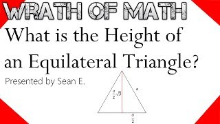 What is the Height of an Equilateral Triangle [upl. by Yllor]