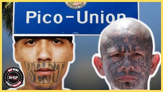 Most Dangerous Gangs in Los Angeles HollywoodPico UnionLow Bottoms [upl. by Ackerley]