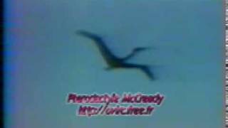 Paul MacCready pterosaur Quetzalcoatlus Northropi QN RC ornithopter [upl. by Gothard101]