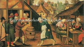 Flemish Renaissance Song from the Susato Music Books [upl. by Nnylekoorb]