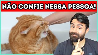 Como Seu Gato Pode RECONHECER E ALERTÁLO Sobre Pessoas RUINS [upl. by Hennessy]