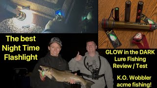 Best Flashlight Test GLOW IN THE DARK KO Wobbler SALMON Pier Fishing UV Ultra Violet White light [upl. by Augustina]