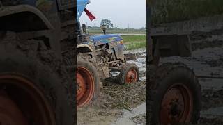 Eicher 380 tractor stucked automobile farmingtractor subscribe [upl. by Bendix326]