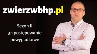 Zwierz w BHP 31 Postępowanie powypadkowe [upl. by Oalsinatse744]