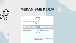 Mekanisme Kerja Obat Diltiazem Pada Penyakit Hipertensi Dan Angina [upl. by Paryavi229]