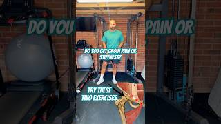 Groin pain Try these exercises now hippain groinpain shorts [upl. by Novehc285]