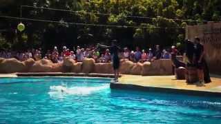 Rancho Texas Lanzarote Park Bak Films [upl. by Narbig]