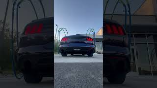 2020 mustang ecoboost muffler delete POPSš’ [upl. by Katinka]