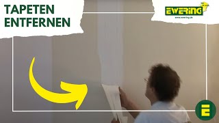 Spaltbare Tapeten entfernen  Ewering tapetenshopcom [upl. by Yrol183]