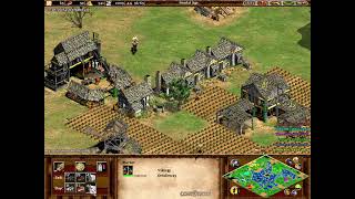 Age of Empires 2 custom campaign The lion of SwedenChapter IIGrowth [upl. by Akinehs29]