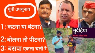 यूपी उपचुनाव 2024 ll अखिलेश यादव के pda से क्या भाजपा को खतरा हो सकता है ll ग्राउंड रिपोर्ट समीक्षा [upl. by Durwood]