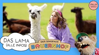 Das Lama – Alle Infos  Tierdoku für Kinder von «Der singende Bauernhof» [upl. by Lotty]