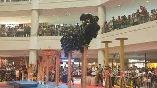 Lion Dance in Ipoh Parade Part 2  👍👍 [upl. by Soble]