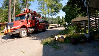 Storm Damage Tanglewood Estates April 17 2024 [upl. by Florette802]